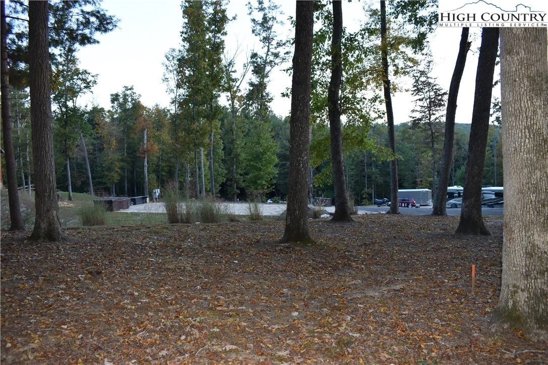 Image number 8 for the current listing