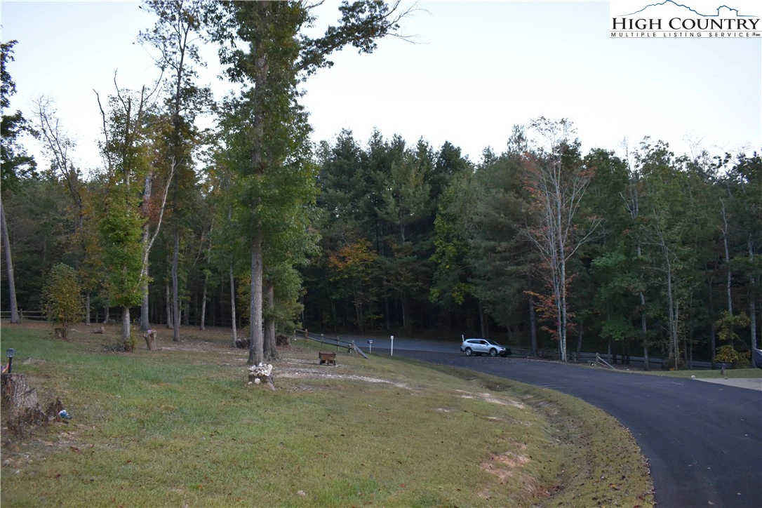 Image number 11 for the current listing