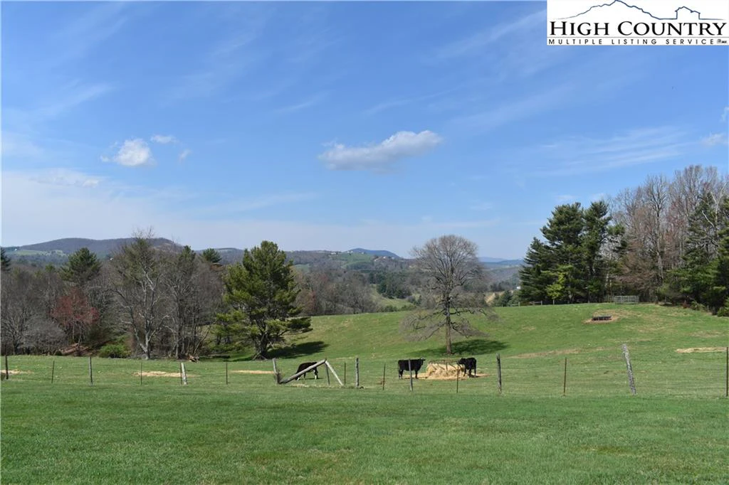 Image number 17 for the current listing