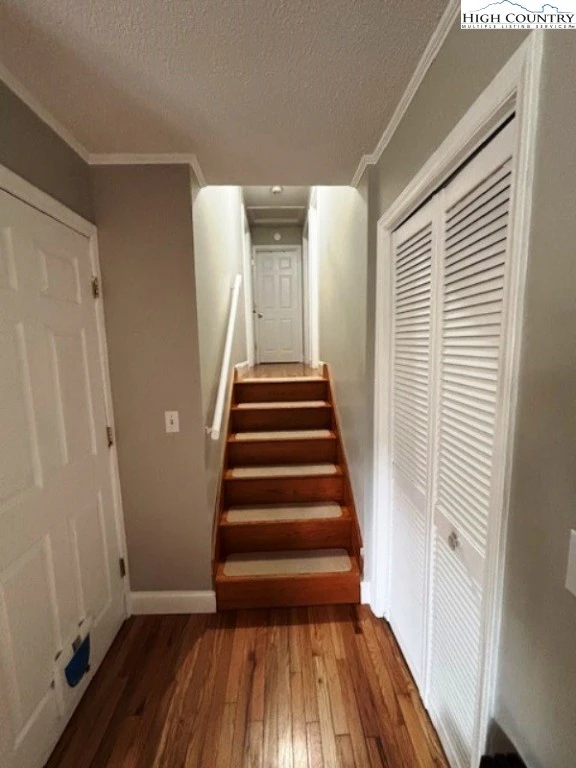 Image number 7 for the current listing