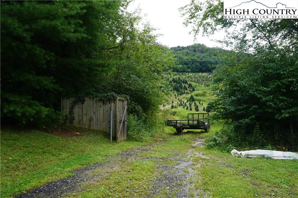 Image number 21 for the current listing