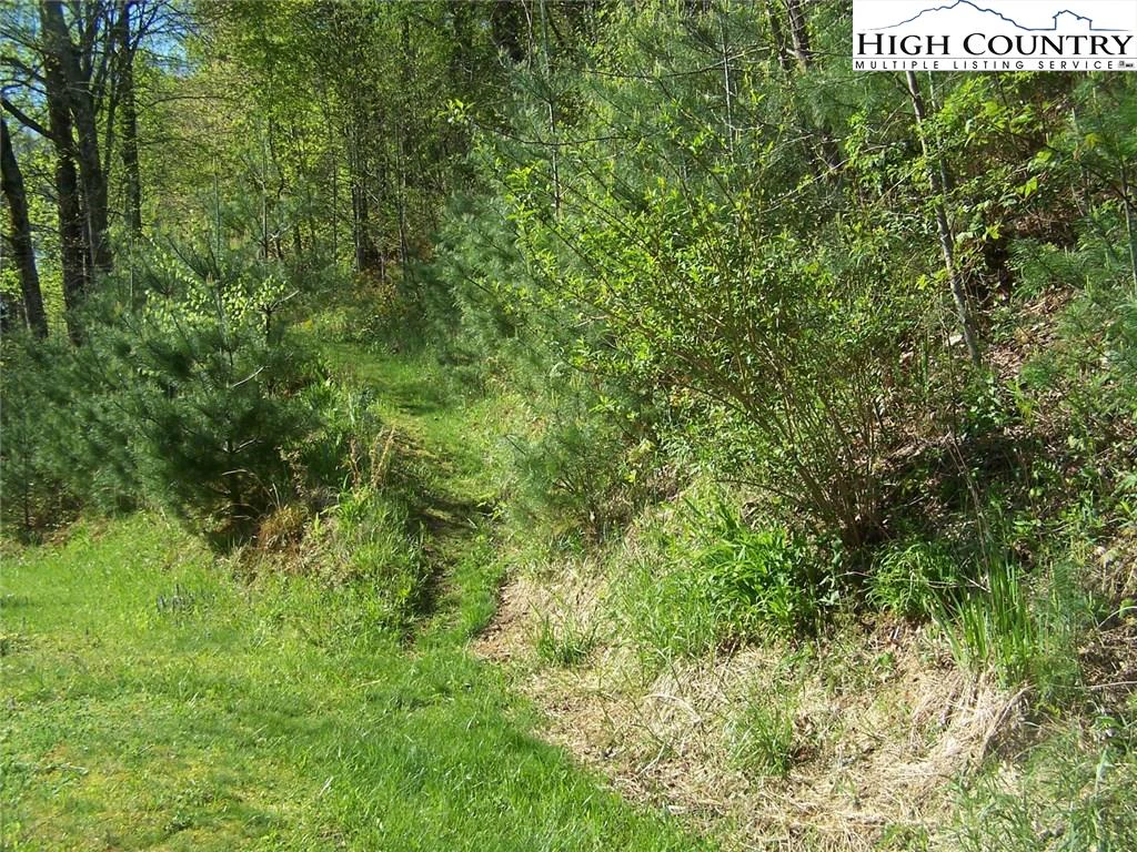 Image number 11 for the current listing