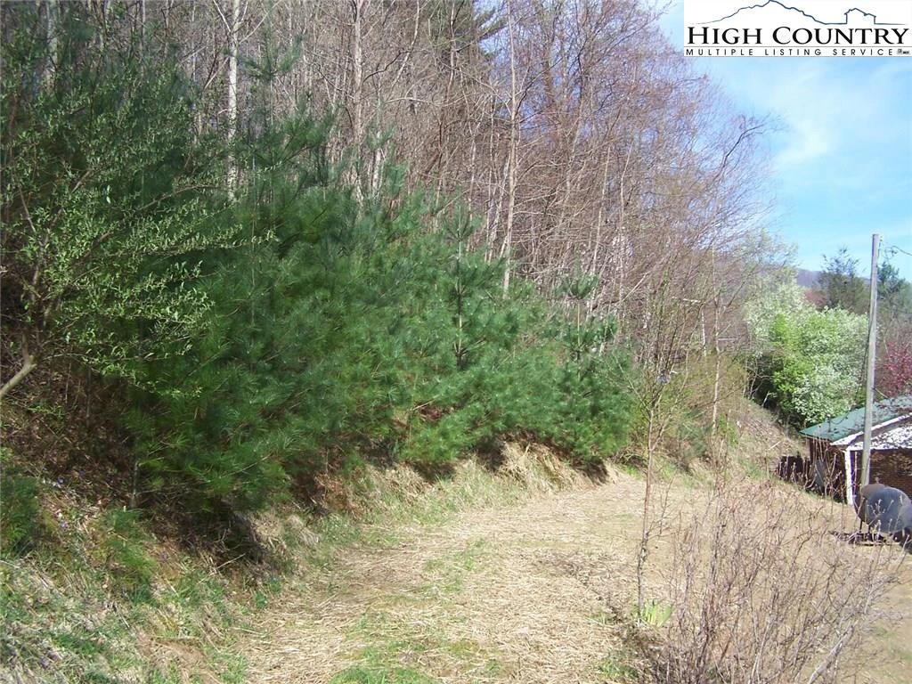 Image number 4 for the current listing