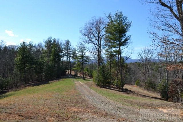 Image number 22 for the current listing