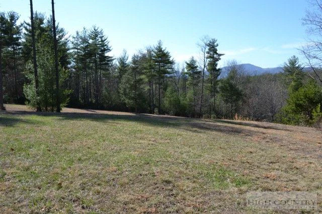 Image number 4 for the current listing