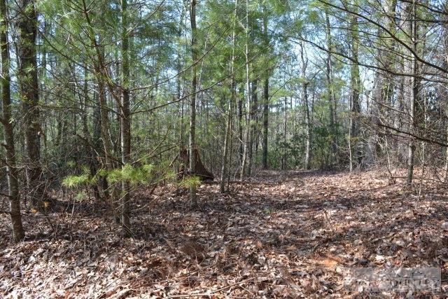 Image number 6 for the current listing