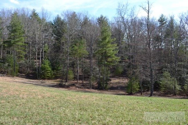 Image number 10 for the current listing