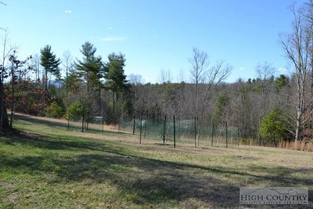 Image number 2 for the current listing