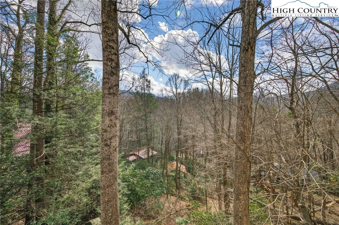 Image number 18 for the current listing