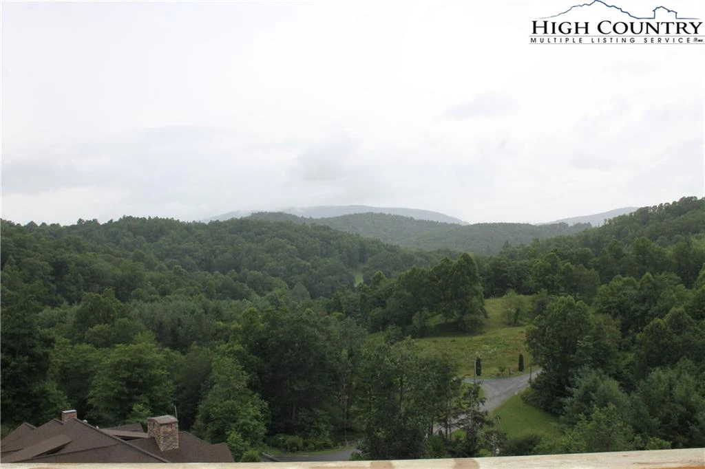 Image number 4 for the current listing