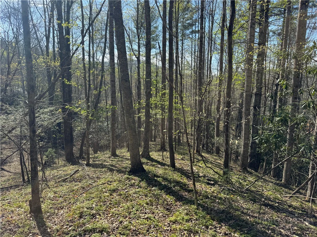 Image number 1 for the current listing