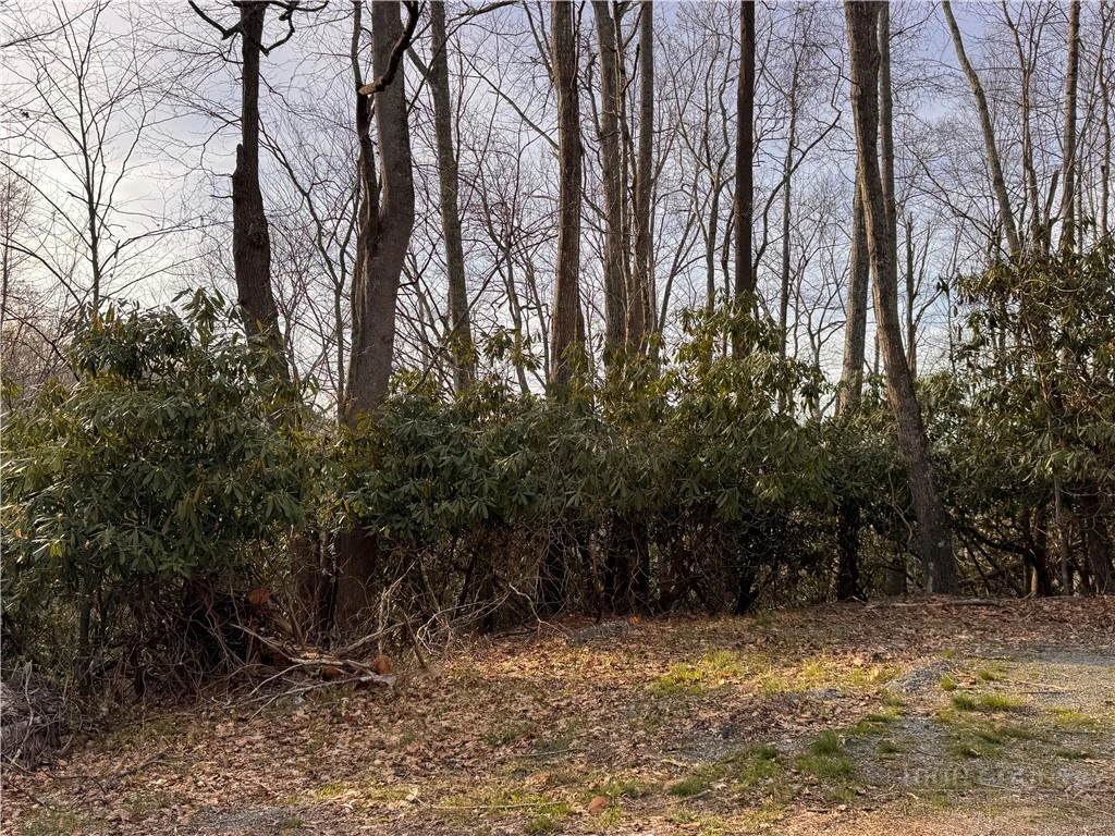 Image number 3 for the current listing