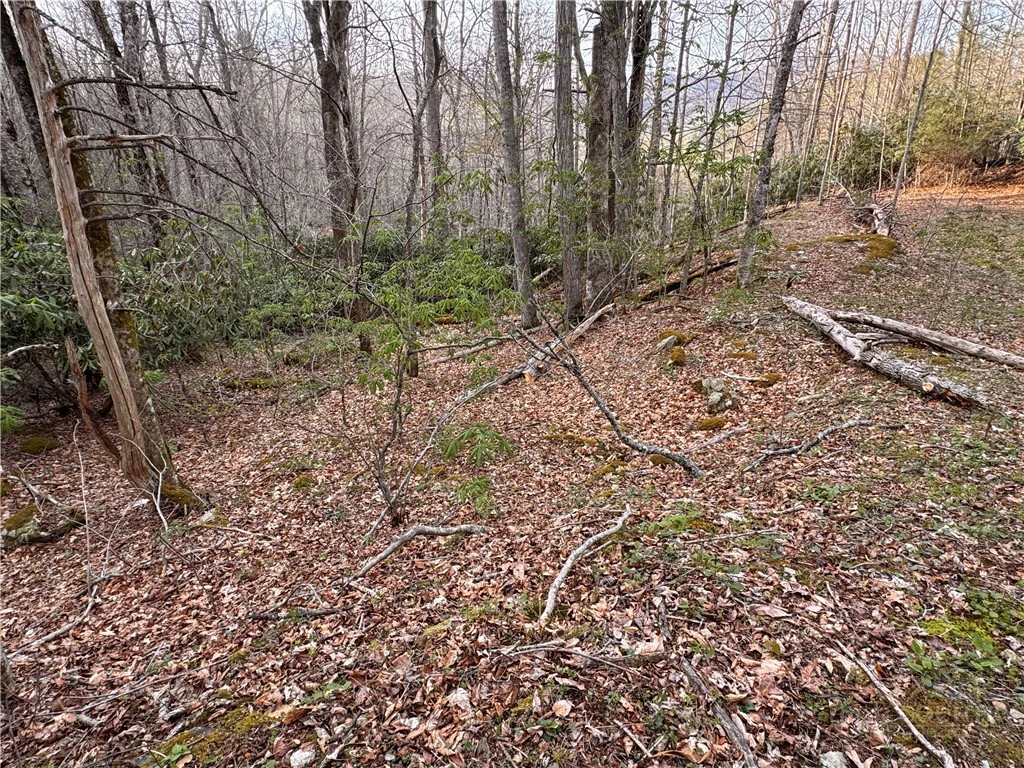 Image number 4 for the current listing