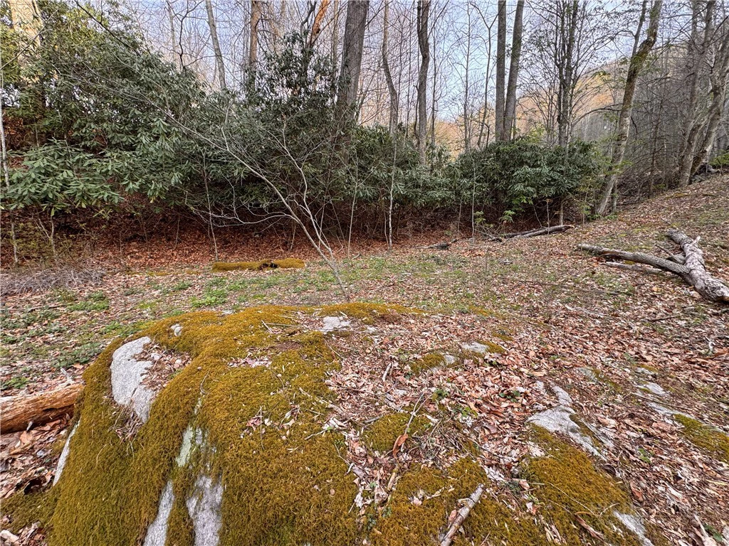 Image number 5 for the current listing