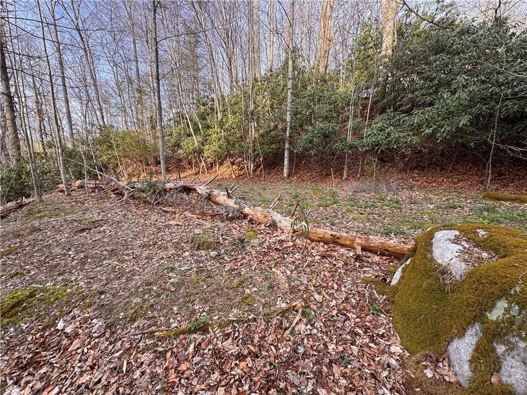Image number 6 for the current listing