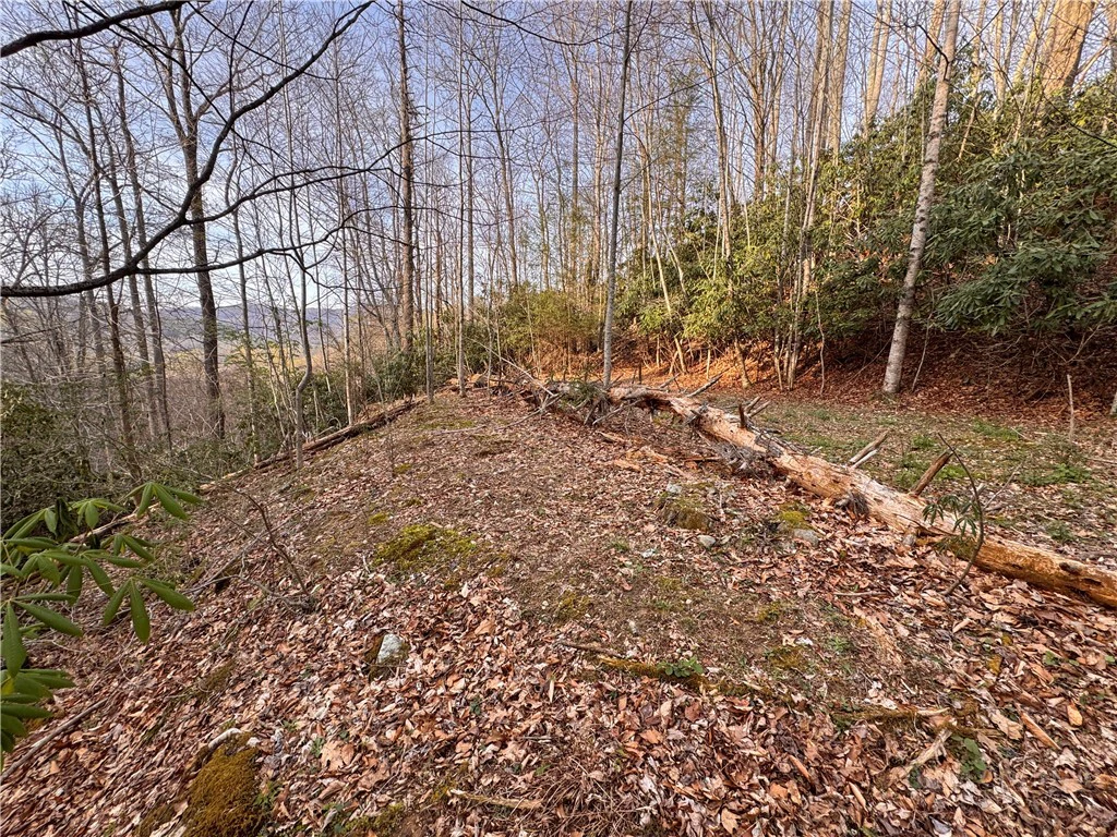 Image number 7 for the current listing