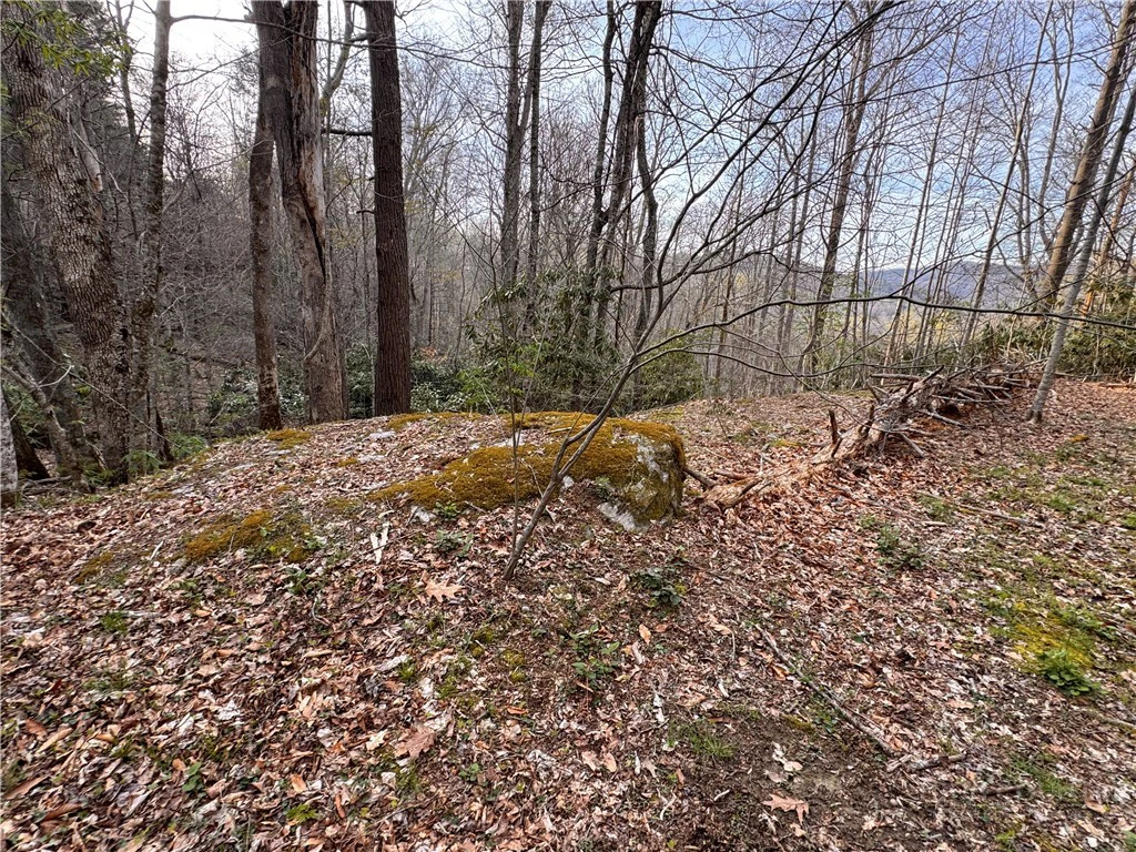 Image number 8 for the current listing