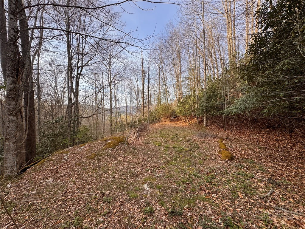 Image number 9 for the current listing