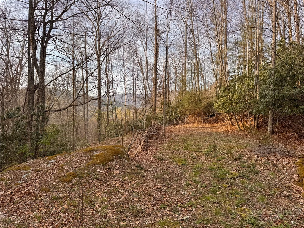Image number 10 for the current listing