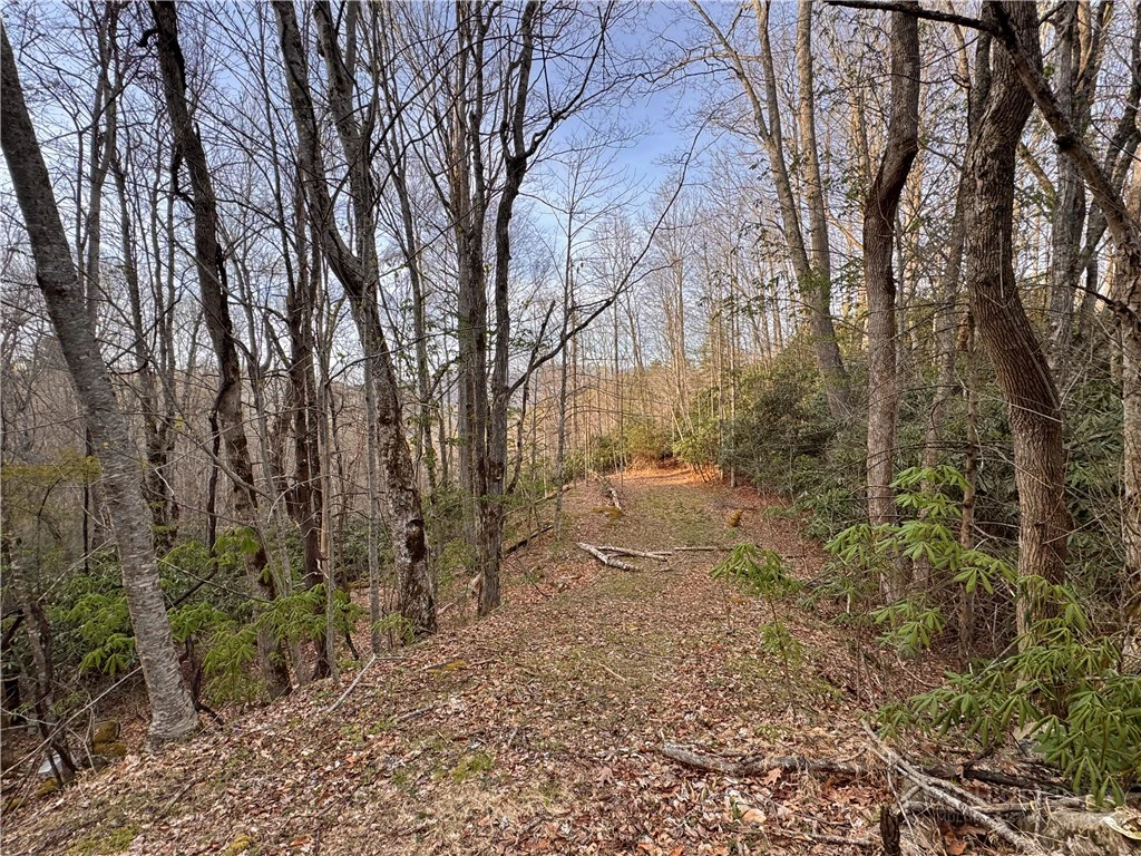 Image number 11 for the current listing