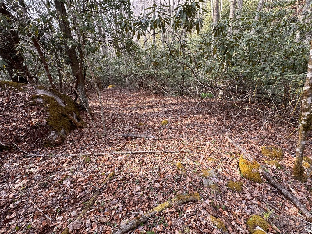 Image number 2 for the current listing