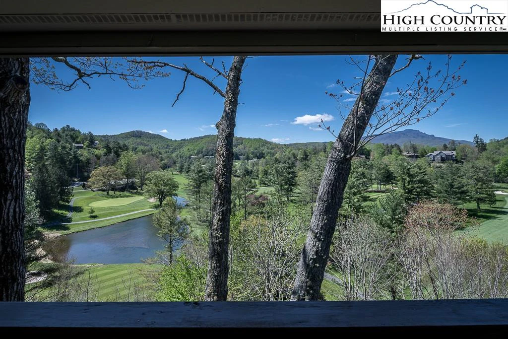 Image number 1 for the current listing