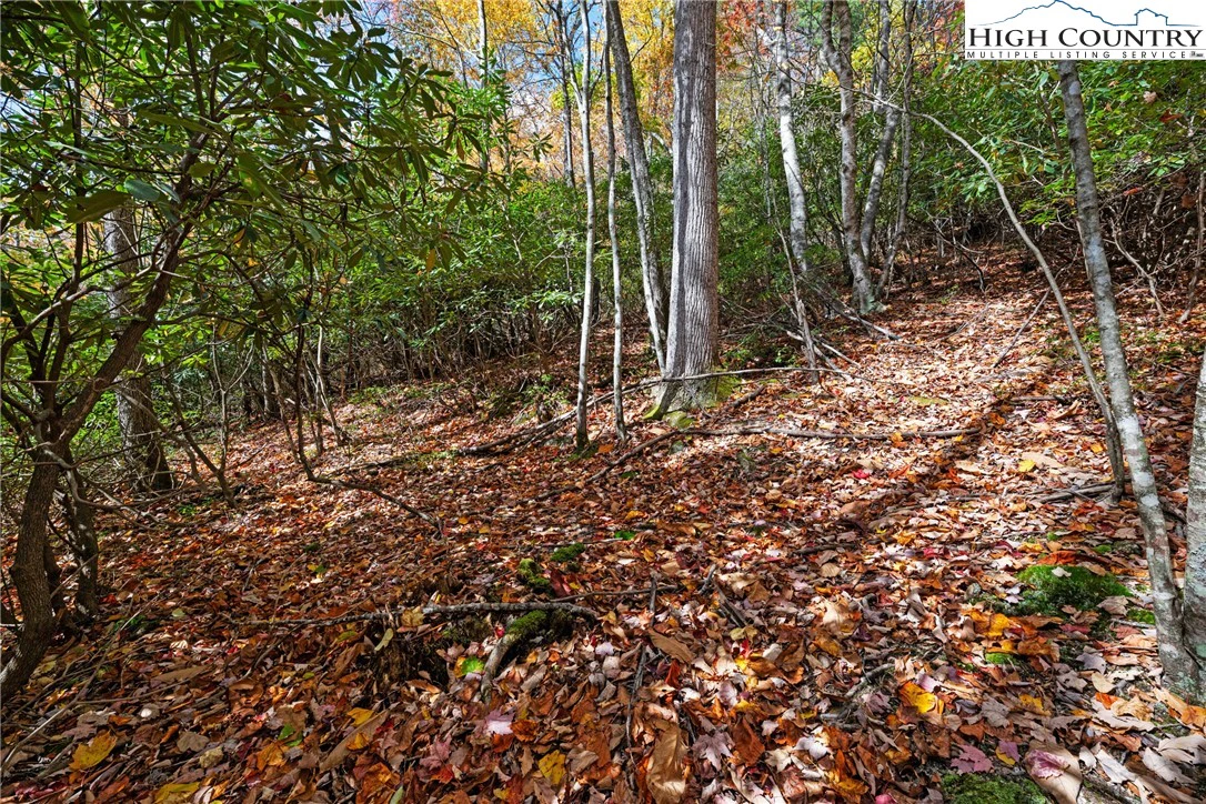 Image number 1 for the current listing