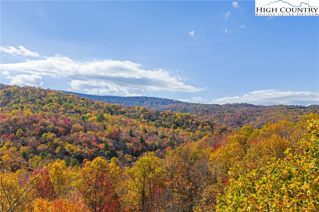 Image number 17 for the current listing