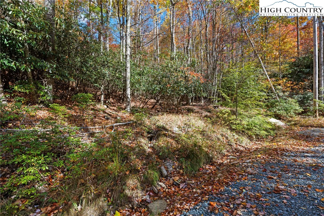 Image number 10 for the current listing