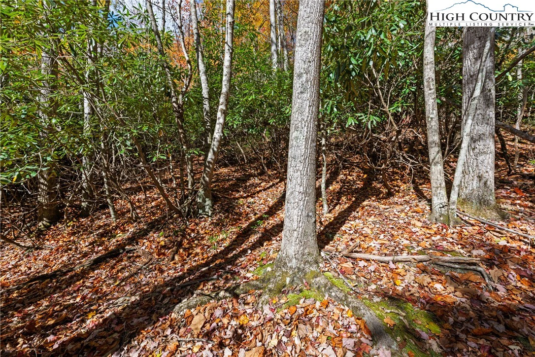 Image number 2 for the current listing