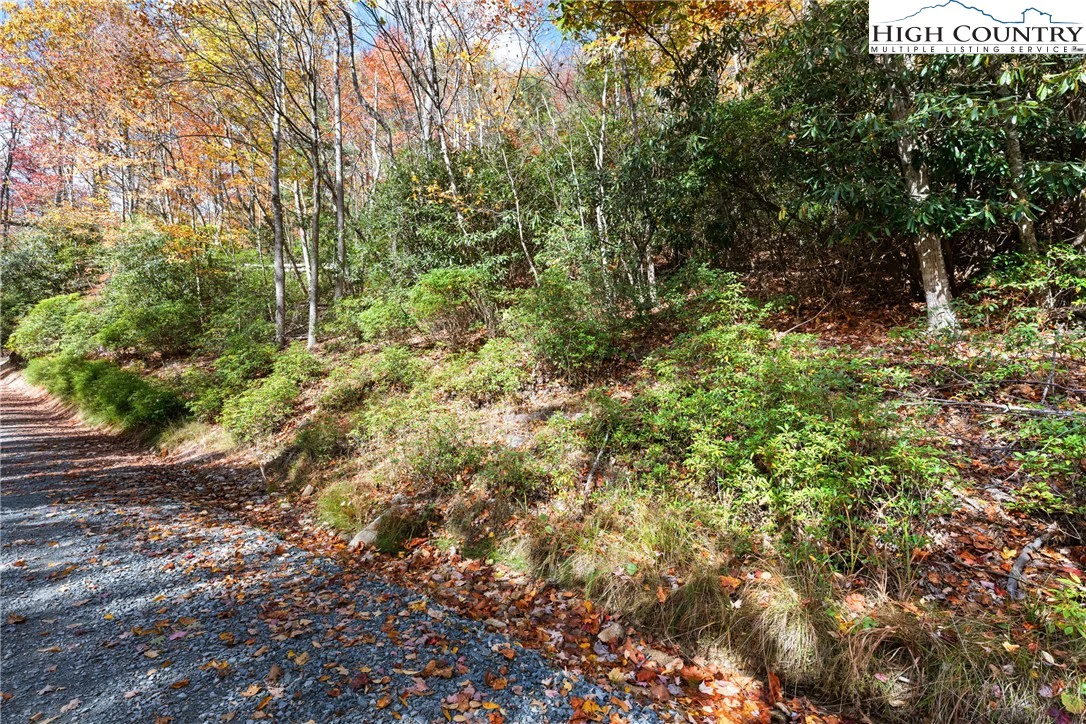 Image number 11 for the current listing