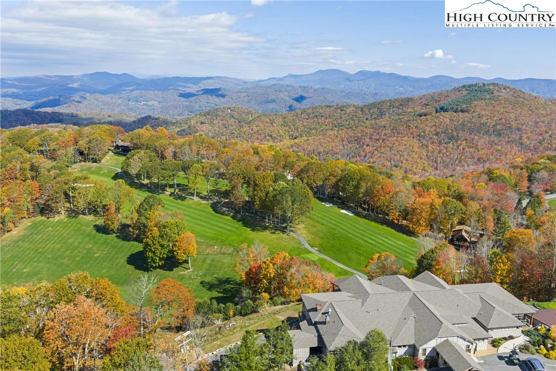 Image number 8 for the current listing