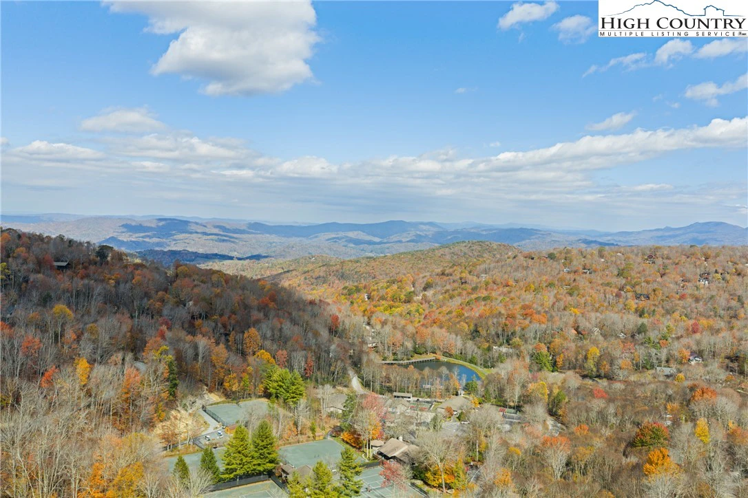 Image number 3 for the current listing