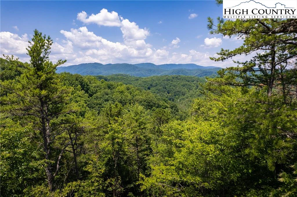 Image number 1 for the current listing