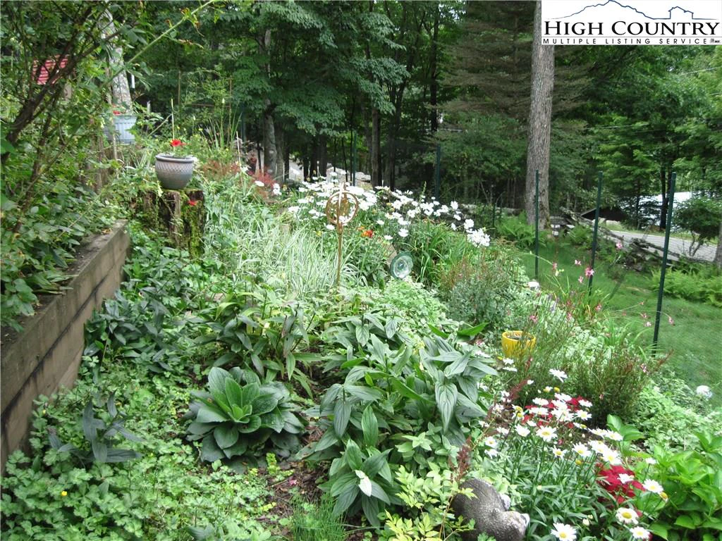 Image number 2 for the current listing