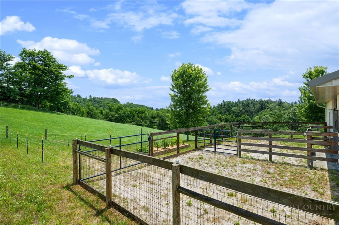 Image number 16 for the current listing