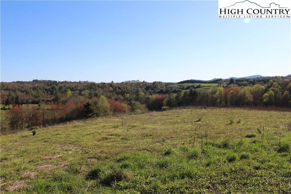 Image number 1 for the current listing