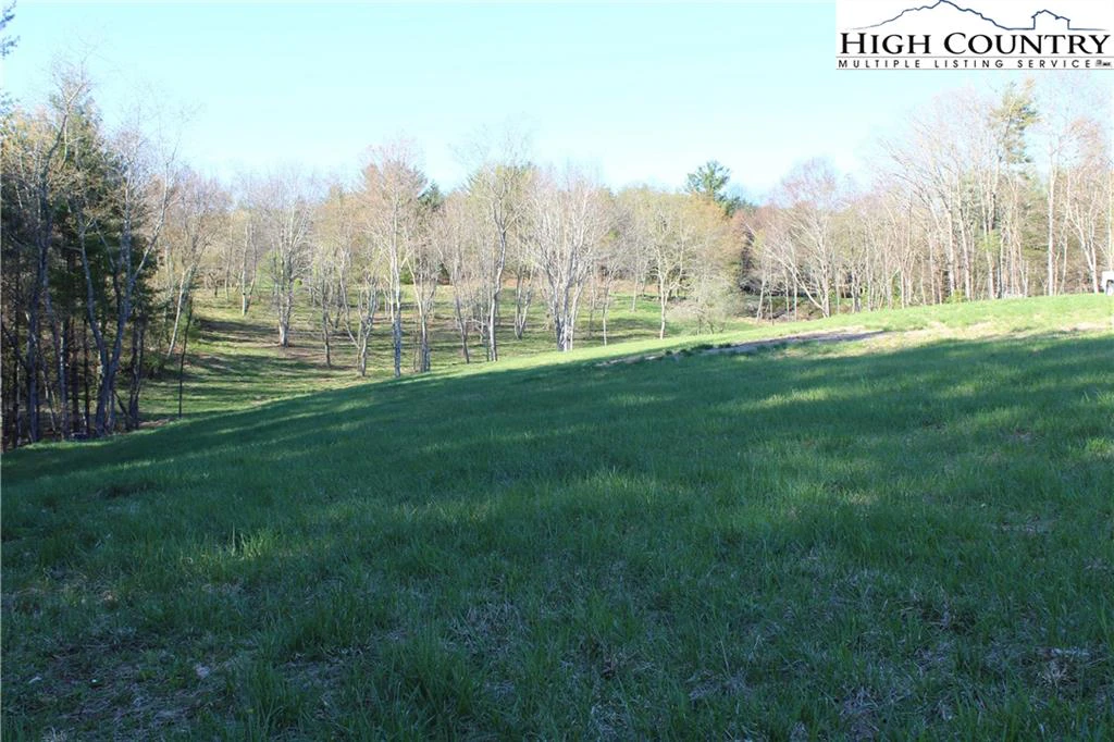 Image number 2 for the current listing