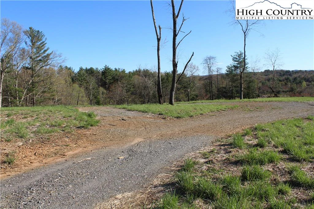 Image number 14 for the current listing