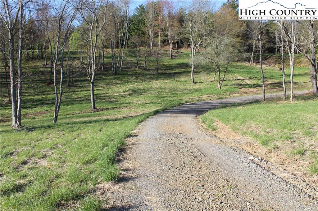 Image number 13 for the current listing