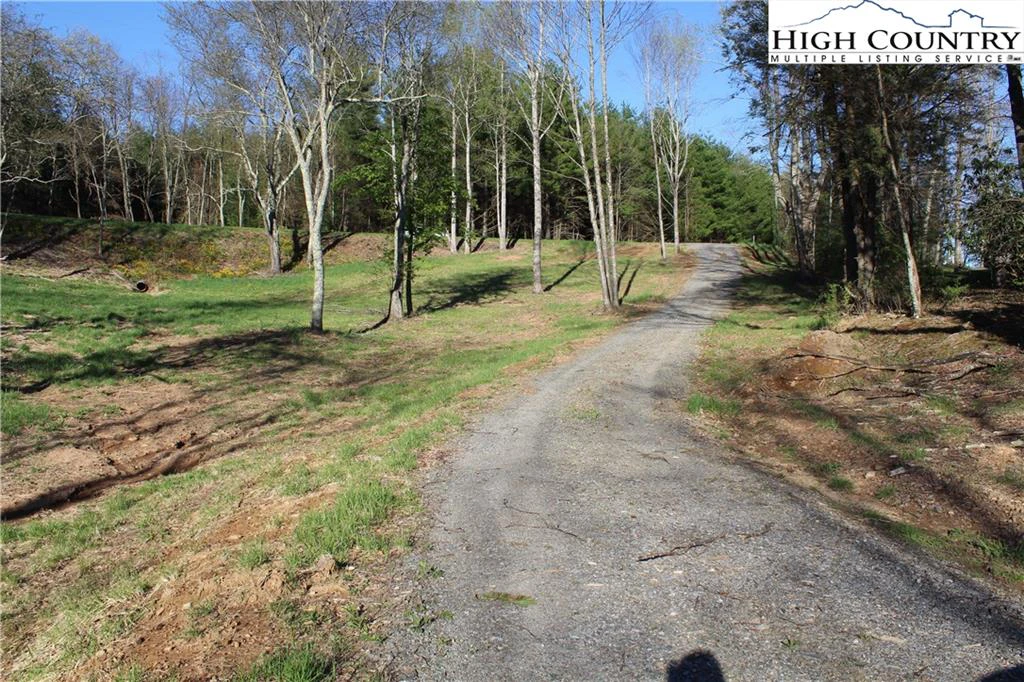 Image number 11 for the current listing
