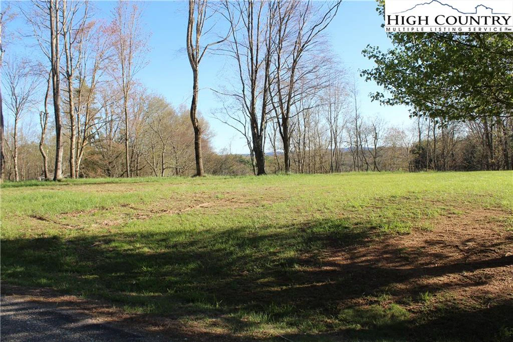 Image number 6 for the current listing