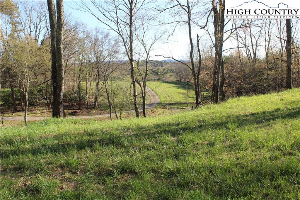Image number 5 for the current listing