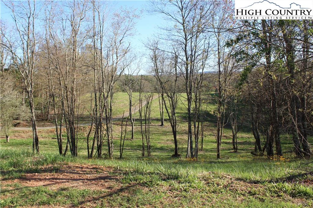 Image number 3 for the current listing