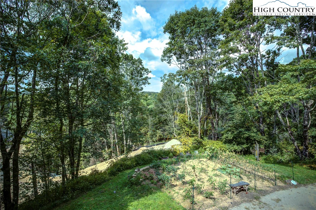 Image number 20 for the current listing