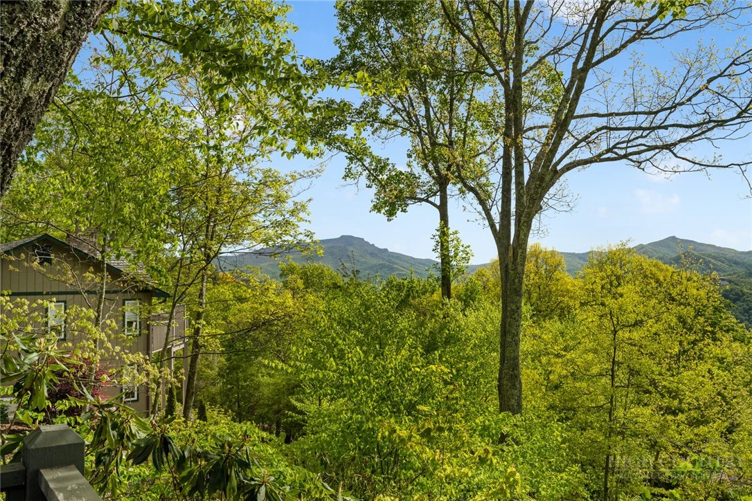 Image number 15 for the current listing