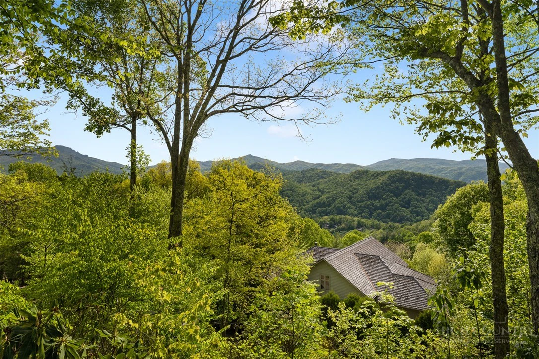 Image number 16 for the current listing