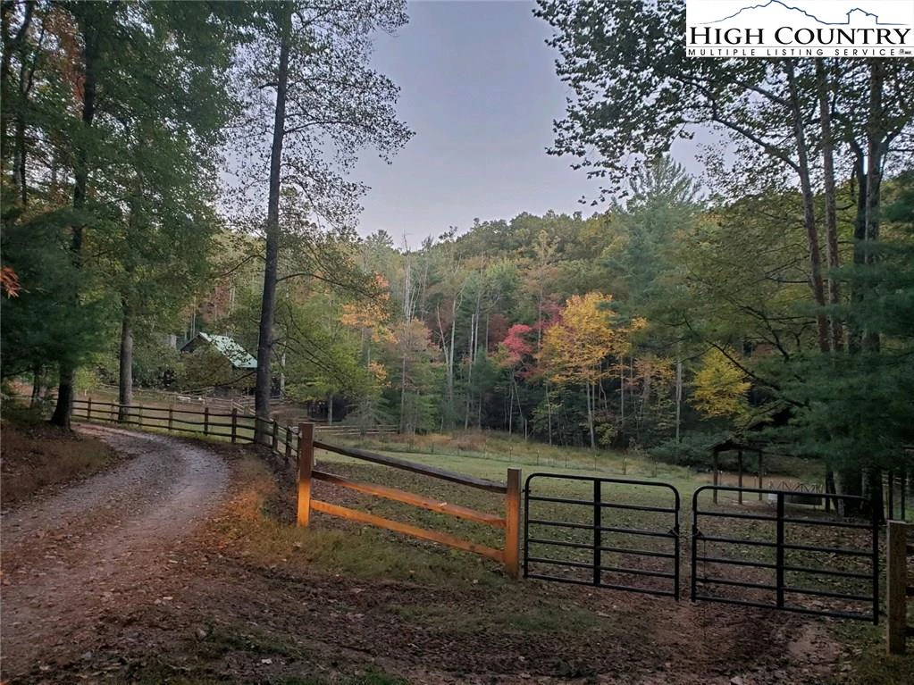 Image number 7 for the current listing