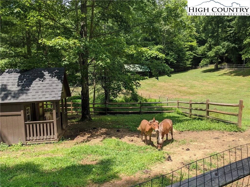 Image number 13 for the current listing