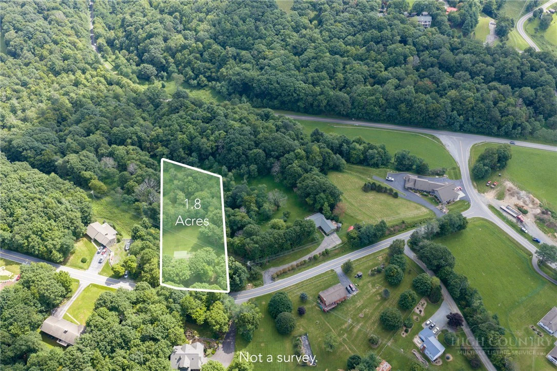 Image number 2 for the current listing